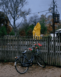 bicycle-amsterdam-l2JImFSVkizyPHP7G