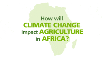 cgiarclimate africa climate change agriculture food security GIF