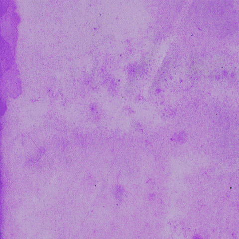 ginecologia-natural verkami ginecosofia ginecologia natural GIF