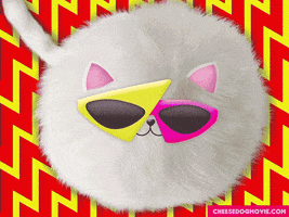 Cool Cat GIF by Snaxtime