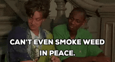 weed dave chappelle half baked jim breuer cant even smoke weed in peace GIF