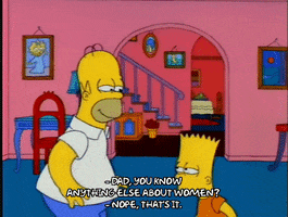 homer simpson pictures GIF