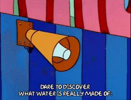 Season 2 Loudspeaker GIF by The Simpsons