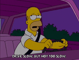 homer simpson wisdom GIF