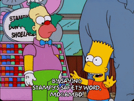 200.gif?cid=fc005b08321449cdb914259b0ba0501bb96f33ab7adde833&rid=200.gif&ct=g