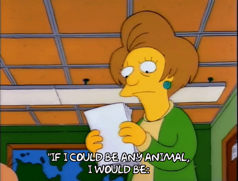 Season 3 Reading GIF by The Simpsons - Find & Share on GIPHY