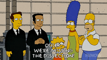 200.gif?cid=fc005b086be31a60689ff3a5e1e7d0a1f35f24947a062a0a&rid=200.gif&ct=g