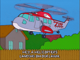landing season 13 GIF