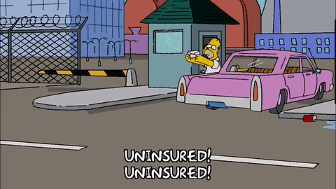 Homer Simpson Road GIF - Find & Share on GIPHY