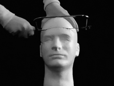 giphy.gif?cid=ecf05e47idx1ahdxllhjqxuwx7