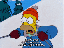 200.gif?cid=fc005b08fa20598b789e73b9e08bb8d7d569d47b3fd51c47&rid=200.gif&ct=g