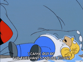 200.gif?cid=fc005b08f6d72c507771e48aec63019b78abcb934484183f&rid=200.gif&ct=g