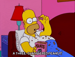 Episode 15 Peanut GIF by The Simpsons