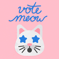 Voting Election 2020 GIF by Malaea