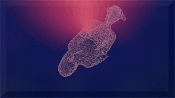 naowao 3d space time digital GIF