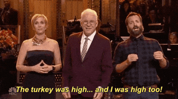 Kristen Wiig Snl GIF by Saturday Night Live