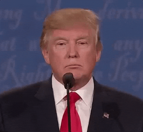 Giphy - Donald Trump GIF by Election 2016