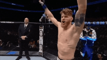 Excited Ufc 206 GIF by UFC