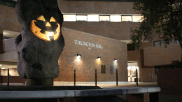 The Rock Halloween GIF by University of Florida