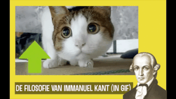 gerkotempelman kant filosofie immanuel kant ethiek GIF