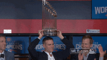 chicago cubs champions GIF by MLB