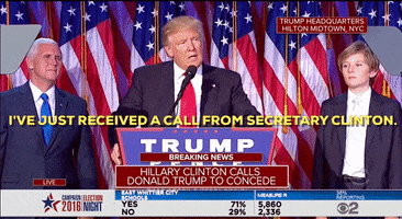 donald trump GIF by Election 2016