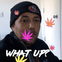 200.gif?cid=fc005b0821158c8882a26b5bde7ed8cf5e77a231ee045c2c&rid=200.gif&ct=g