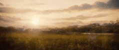 Field GIF by The Magnificent Seven