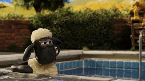 swimming pool smile GIF by Aardman Animations