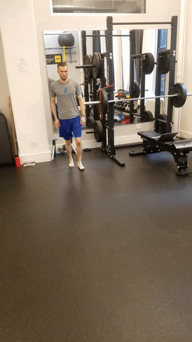Physical Therapy Twist GIF