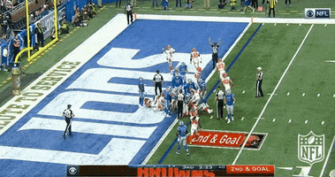 yippie GIF by NFL