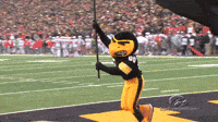 theiowahawkeyes-iowa-hawks-l2QDZlXe67jR4pDdC