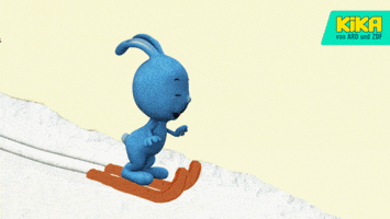 fun sledding GIF by KiKA