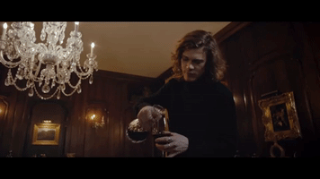 indie wine GIF by Polyvinyl Records