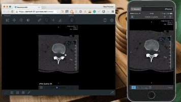 craig_purview  GIF