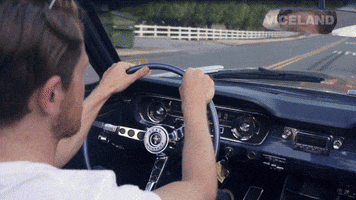 convertable driving GIF by GAYCATION with Ellen Page and Ian Daniel