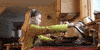Girl Lol GIF by America's Funniest Home Videos