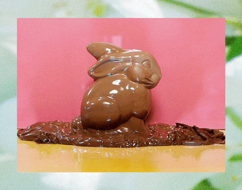 chocolate bunny