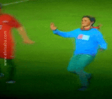 viselaba portugal benfica sl benfica renato sanches GIF