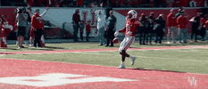 houston cougars touchdown GIF by Coogfans