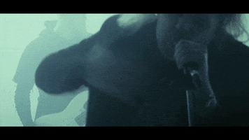 too close to touch passion GIF by Epitaph Records