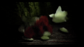 Flowers Flores GIF by Cornelio Vega Y Su Dinastia