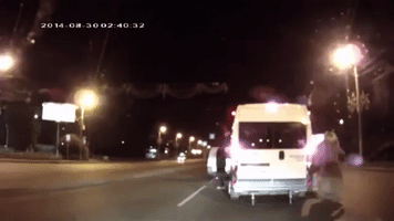 Ã¡Llat Hã¡Borãº Az Utakon GIF