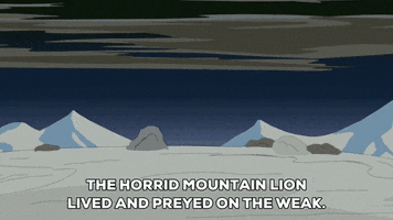 stan marsh mountains GIF by South Park 