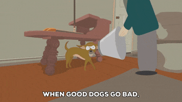 dog biting GIF by South Park 
