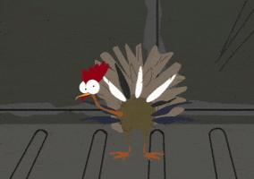 Thanksgiving Turkey GIF by South Park