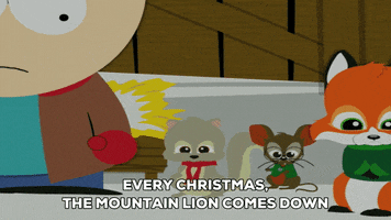 stan marsh forest critters GIF by South Park 