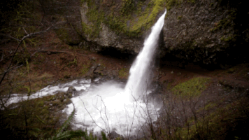 columbia river gorge waterfall GIF by Travel Oregon