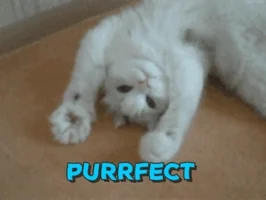 purrrfect