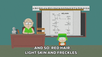 kyle broflovski mr. herbert garrison GIF by South Park 